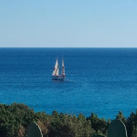 Bougainville Bianco Villa Quartu SantʼElena